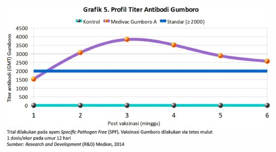 Tetap Waspada Virus Gumboro