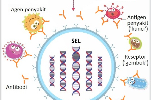 Cara Tepat Aplikasi Vaksinasi Unggas