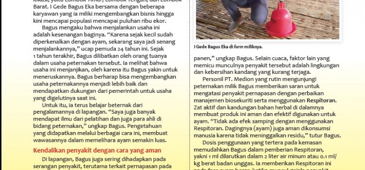 Peternak Muda Asal Lombok Pilih Kembangkan Bisnis Keluarga