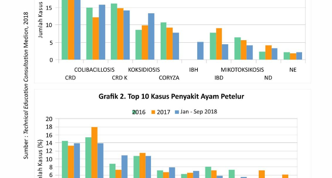 Strategi Menjaga kesehatan Pernapasan Ayam