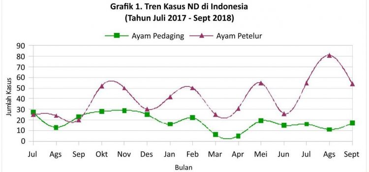 Pantauan Kasus ND di Lapangan