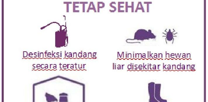 Optimalisasi Manajemen Pemeliharaan di Era Non AGP