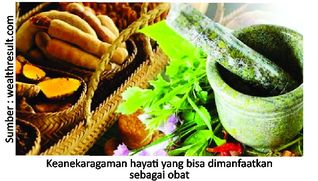 Potensi Herbal untuk Produktivitas Optimal