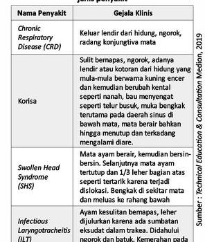 Penyebab Mata Berair pada Layer