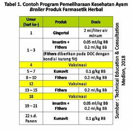 Program Kesehatan Ayam dengan Herbal