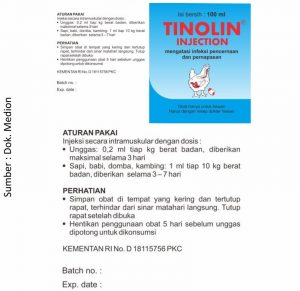 Cermati Pengobatan Penyakit pada Ayam