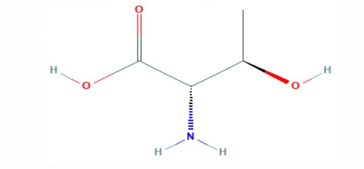 Mengenal Asam Amino Treonin