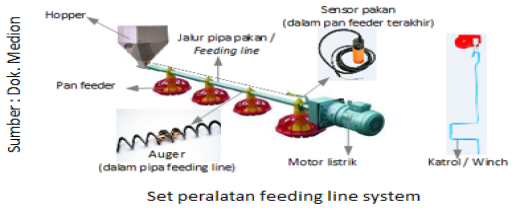 Manajemen Pakan Broiler