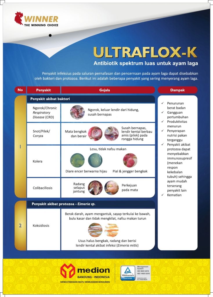 PAMFLET-WINNER ULTRAFLOX-K 1