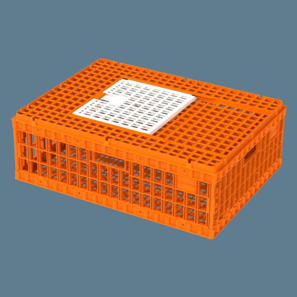 Chicken Crate-Small (KRAK)