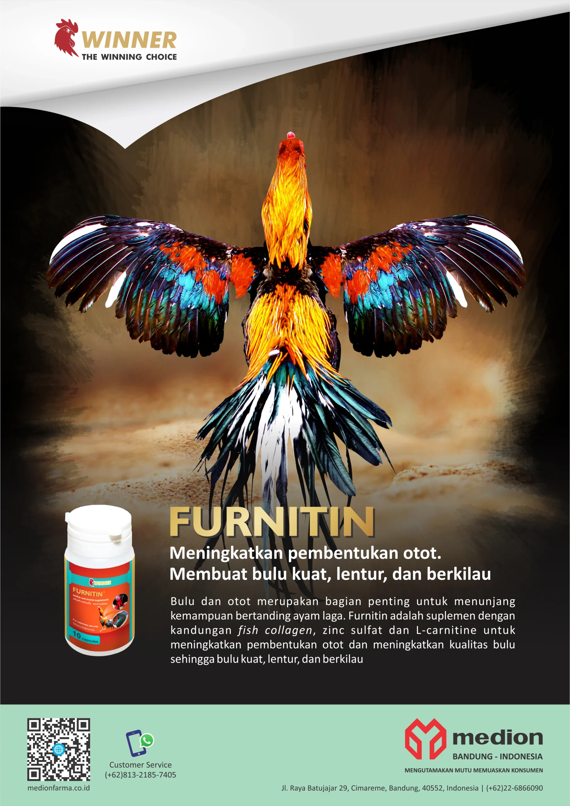 WINNER FURNITIN A4 IKLAN GRA24110264 ID