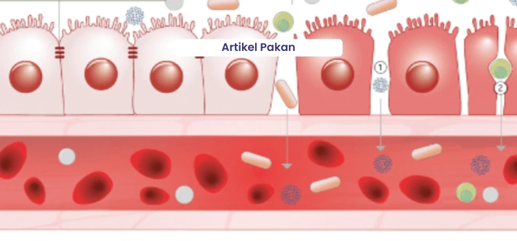 Penggunaan Asam Organik sebagai Feed Additive dalam Pakan Unggas